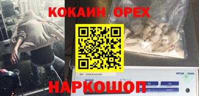 прущие грибы Можга