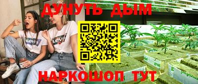 прущие грибы Можга
