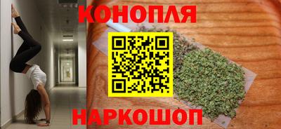 прущие грибы Можга