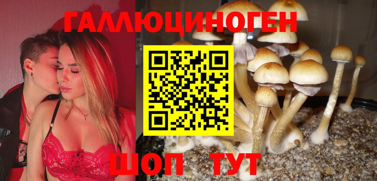 Шелехов  Галлюциногенные грибы Psilocybine cubensis  Псилоцибиновые грибы мухоморы  Вход с VPN 
